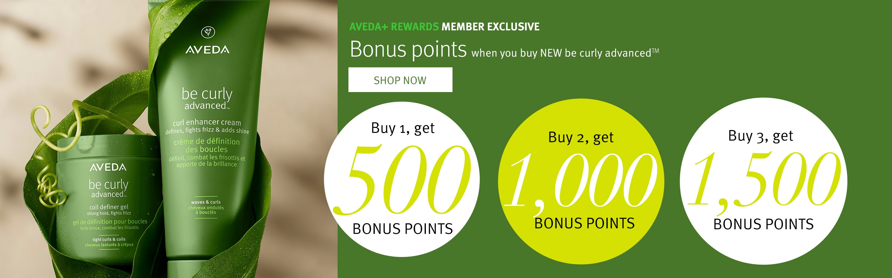Aveda+ loyalty members receive bonus points