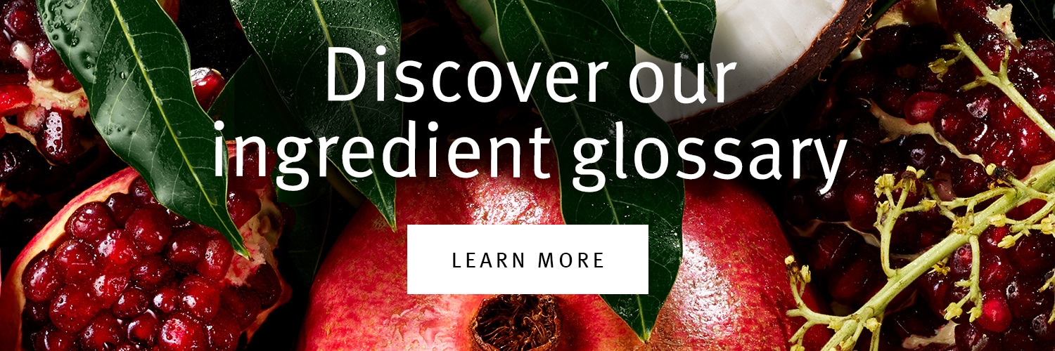 Discover our ingredient glossary