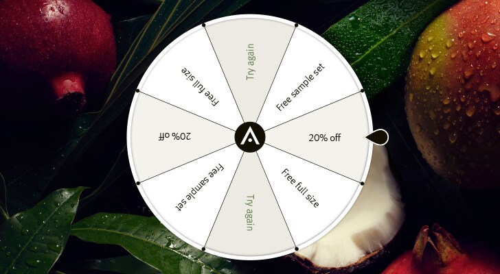 Spin the wheel for a chance to win a special offer