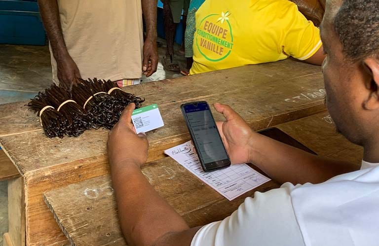Wholechain image of a person using a QR code to trace vanilla via blockchain technology.