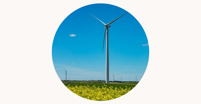 Wind Power Project