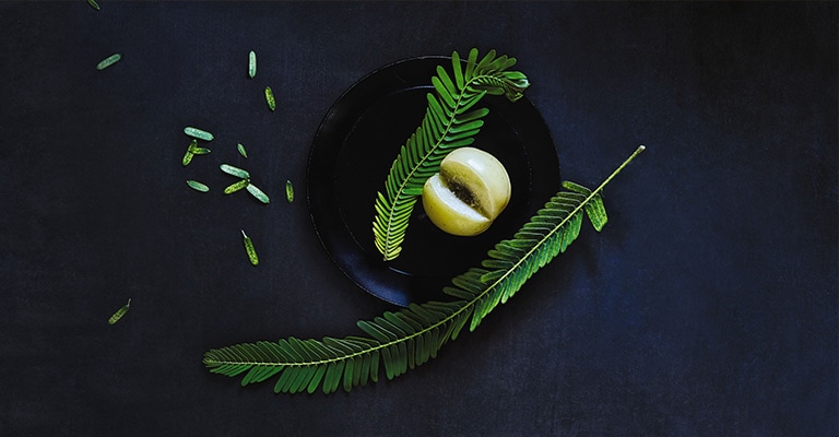 Learn about Aveda's Ingredients