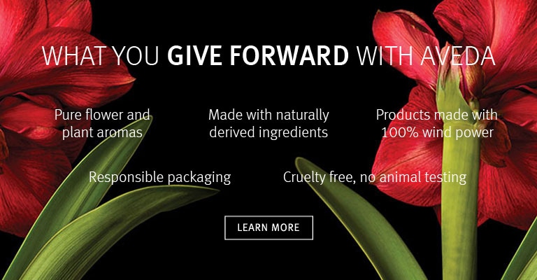 Learn More about what you give when you give Aveda.