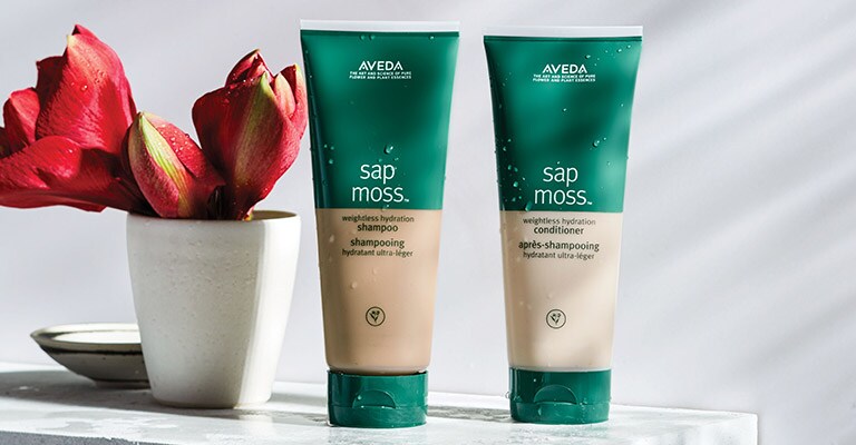 Shop sap moss shampoo & conditioner