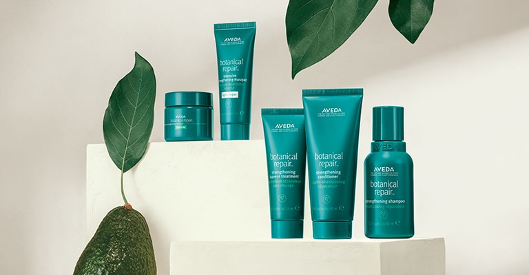 Learn about botanical repair discovery set