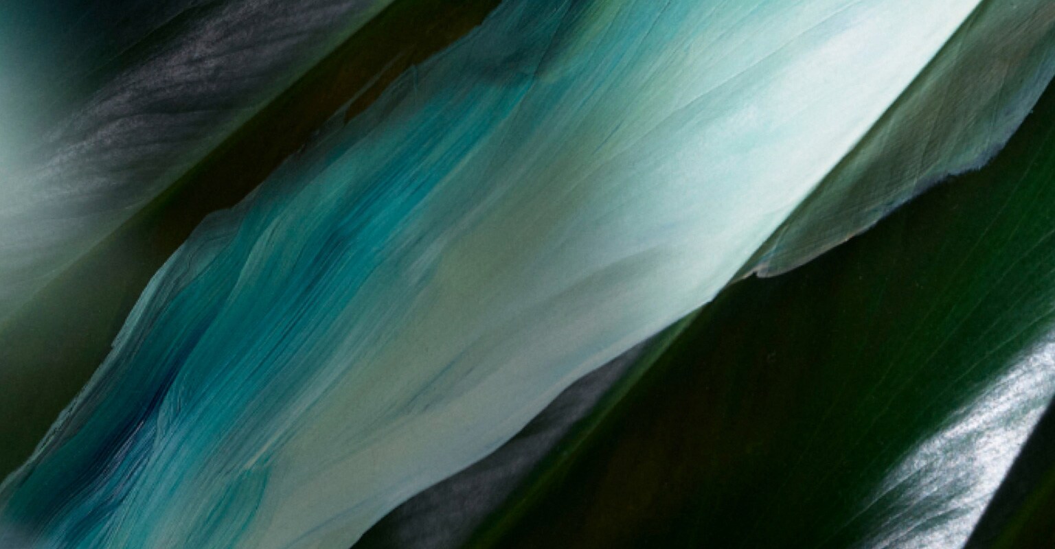 solar wind in different colors across the banner