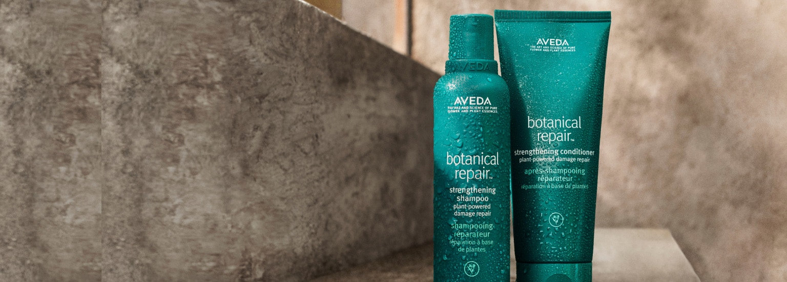 Shop botanical repair hair care