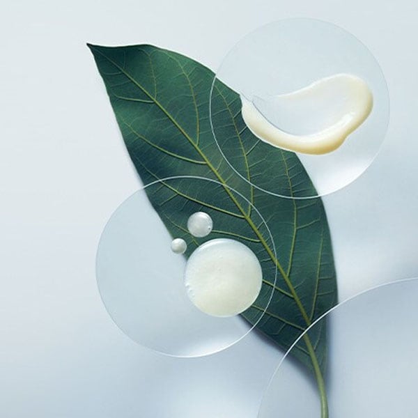 4 reasons to invest in vegan hair repair
