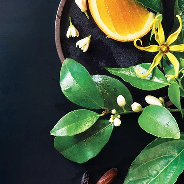 An iconic Aveda aroma makes a comeback