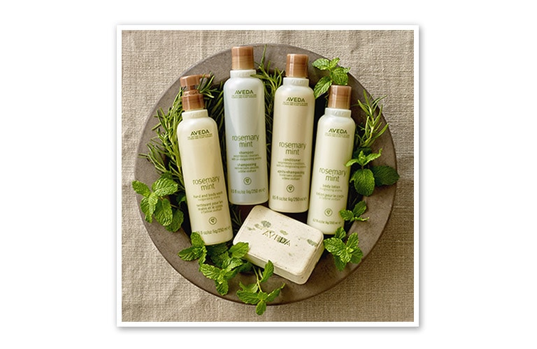 Natural Hair Products, Shampoos, Conditioners & Salons Aveda