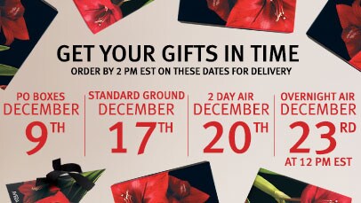 holiday shipping cutoffs, order by dec 17th for standard delivery, december 20th with 2day delivery, and 23rd for overnight. 