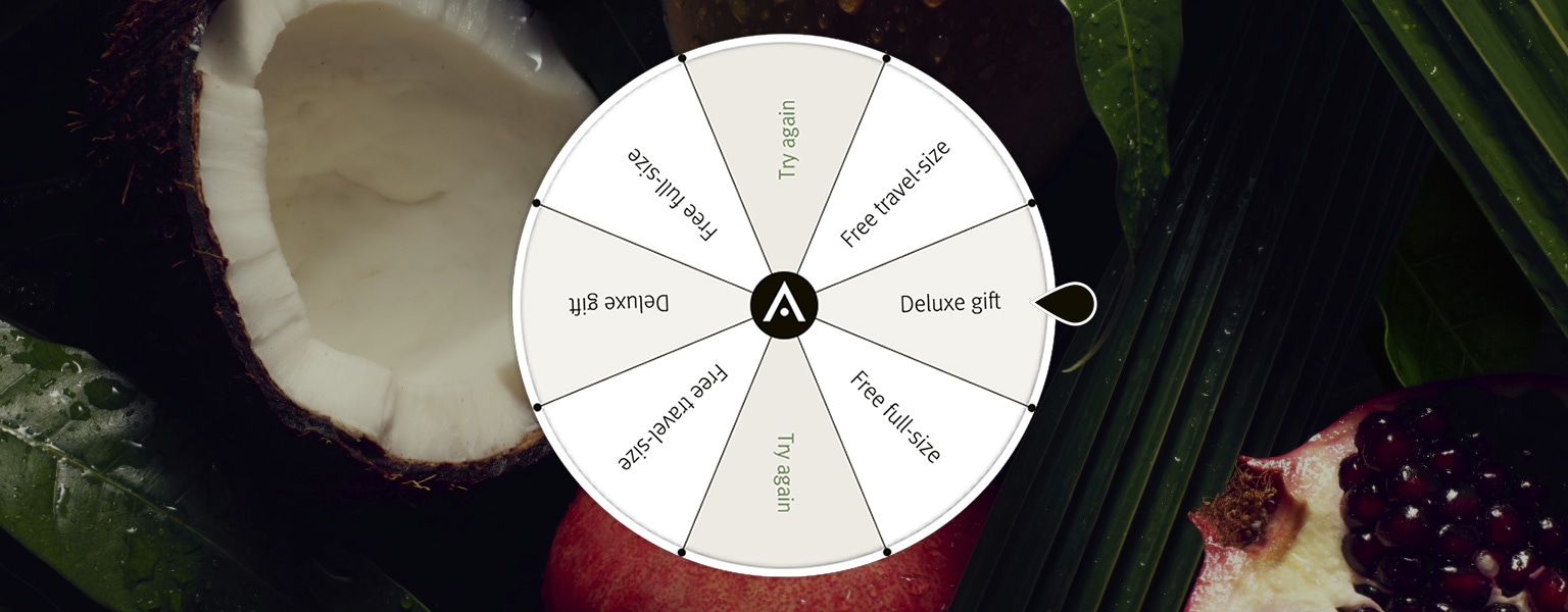Spin the wheel for a chance to win a special offer