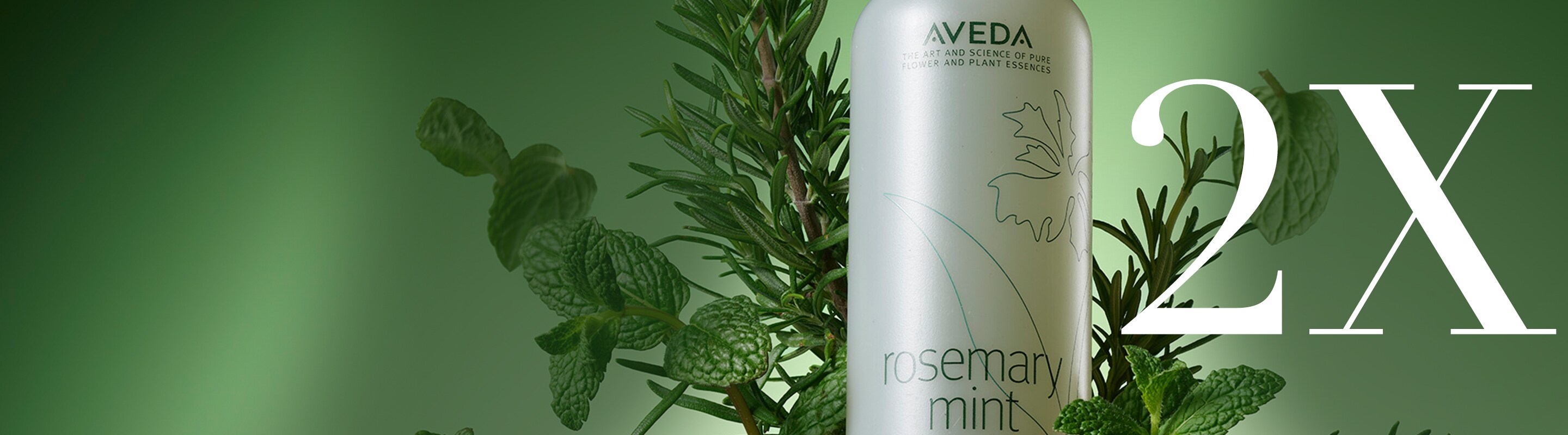 2x points for a+ rewards members