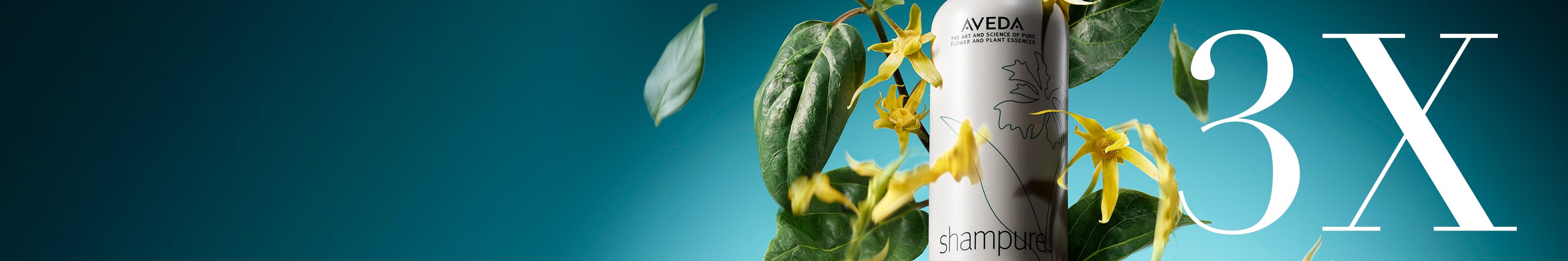 2x points for a+ rewards members