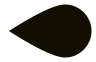 Spin wheel pointer