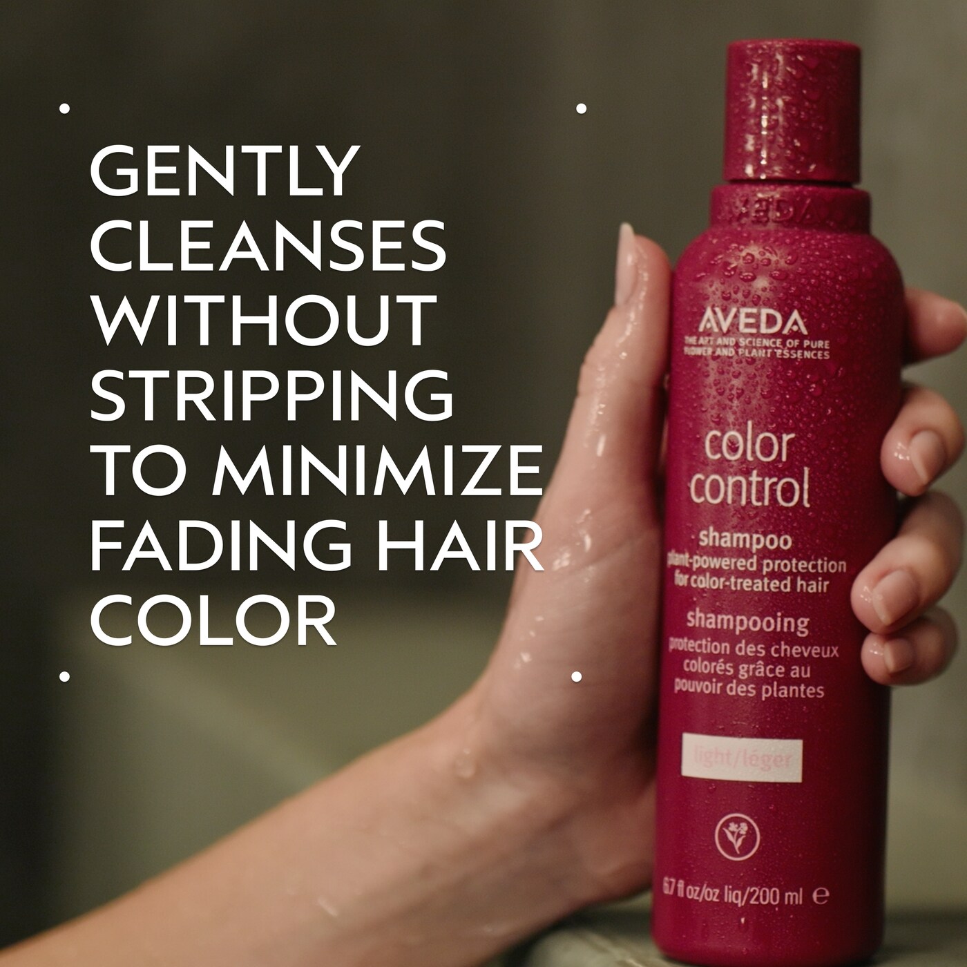 color control light shampoo