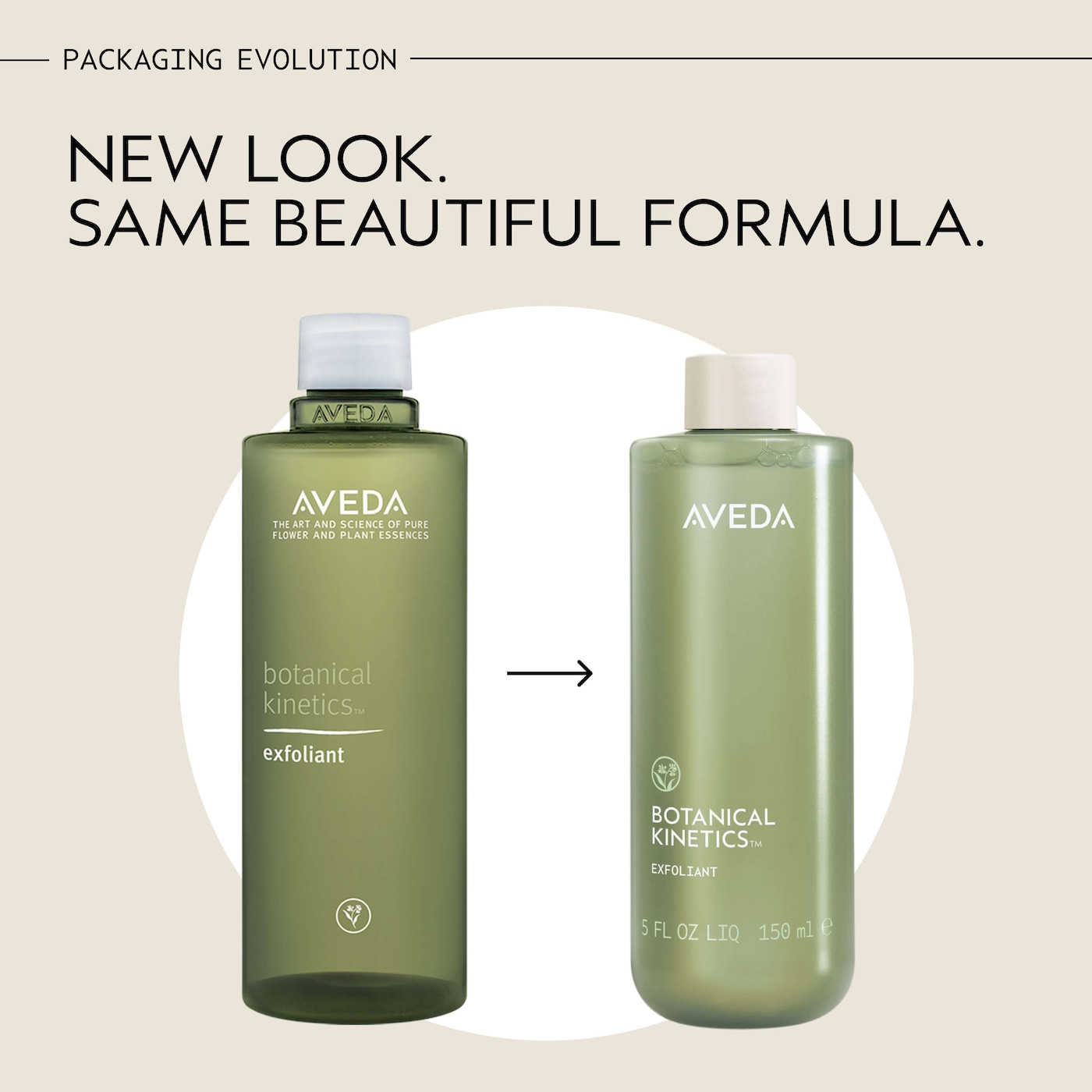Botanical Kinetics™ Exfoliant