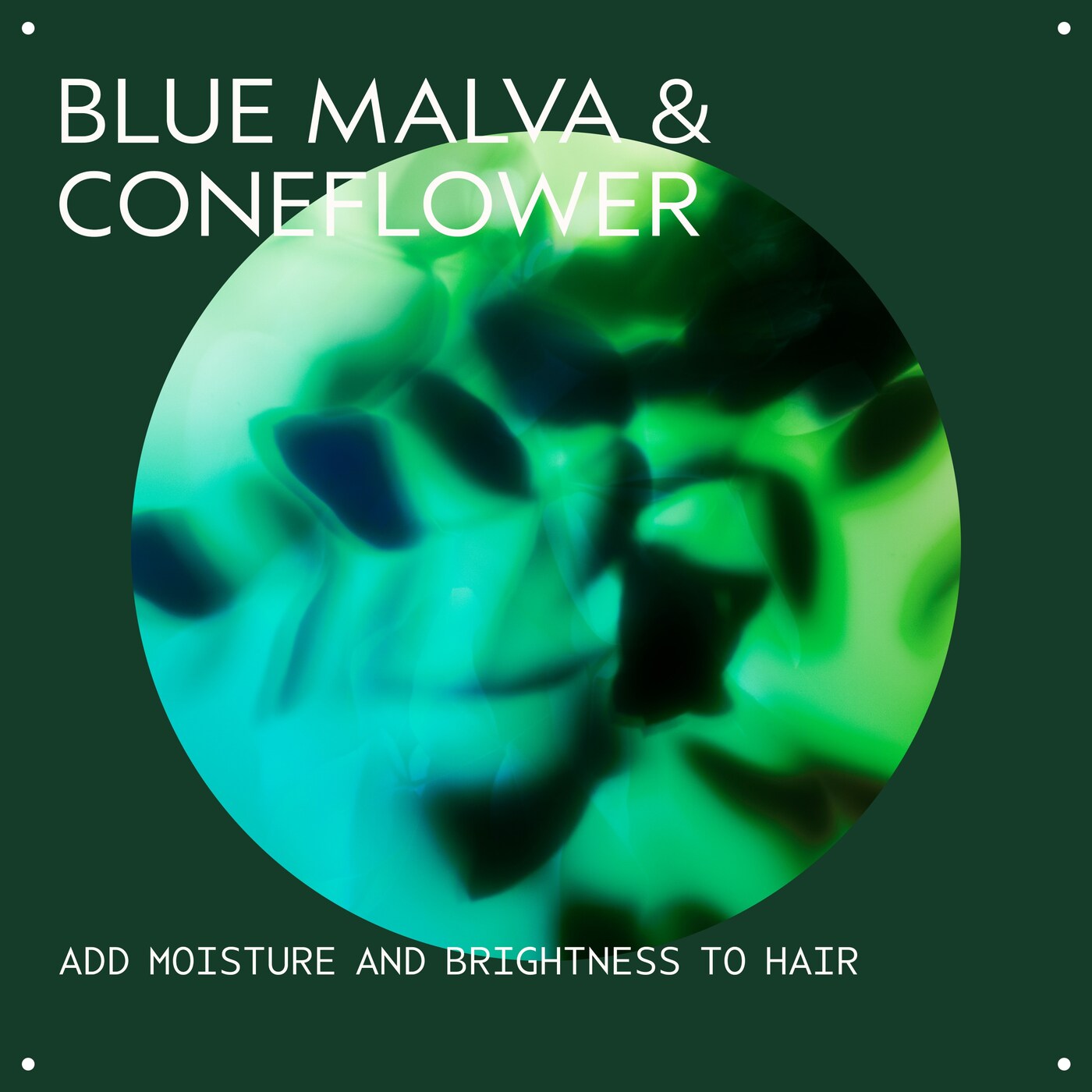 blue malva color conditioner for silver and blonde tones