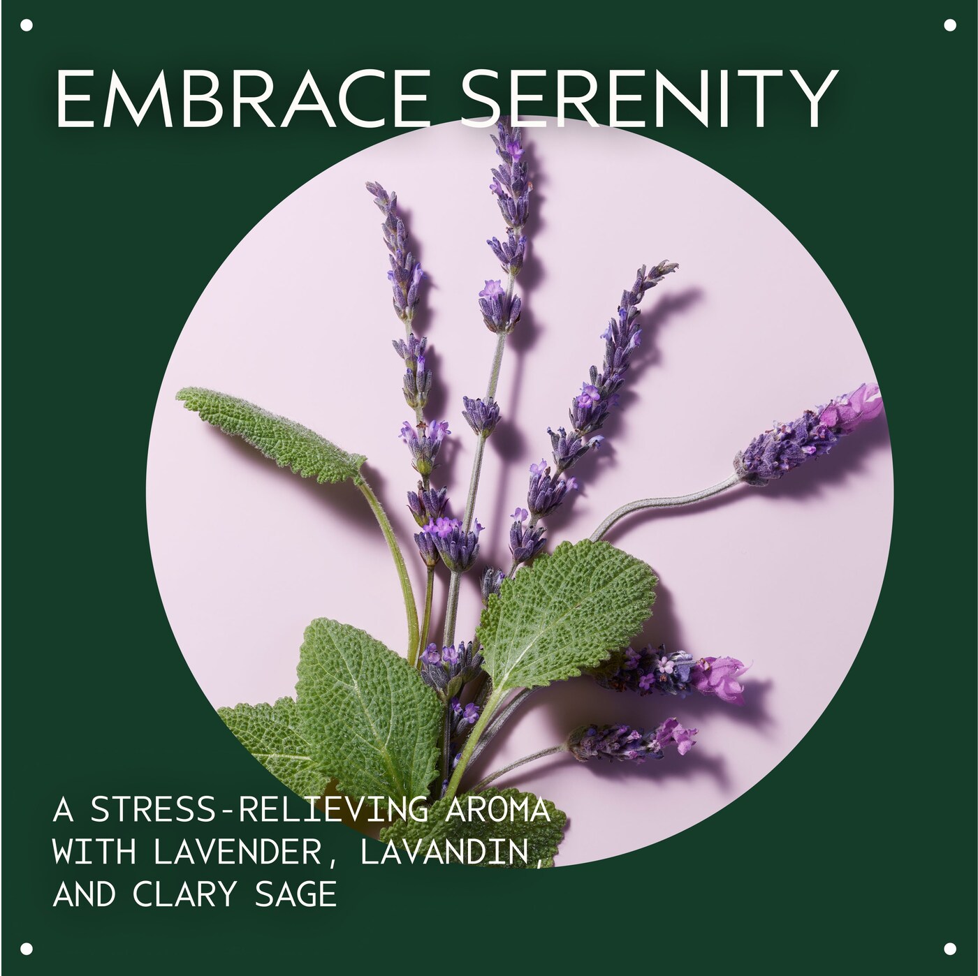 stress-fix™ body lotion for moisture