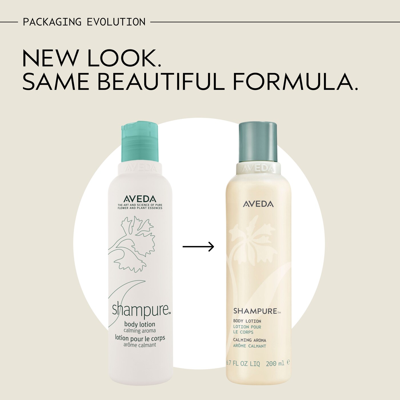 Shampure™ Body Lotion for moisture