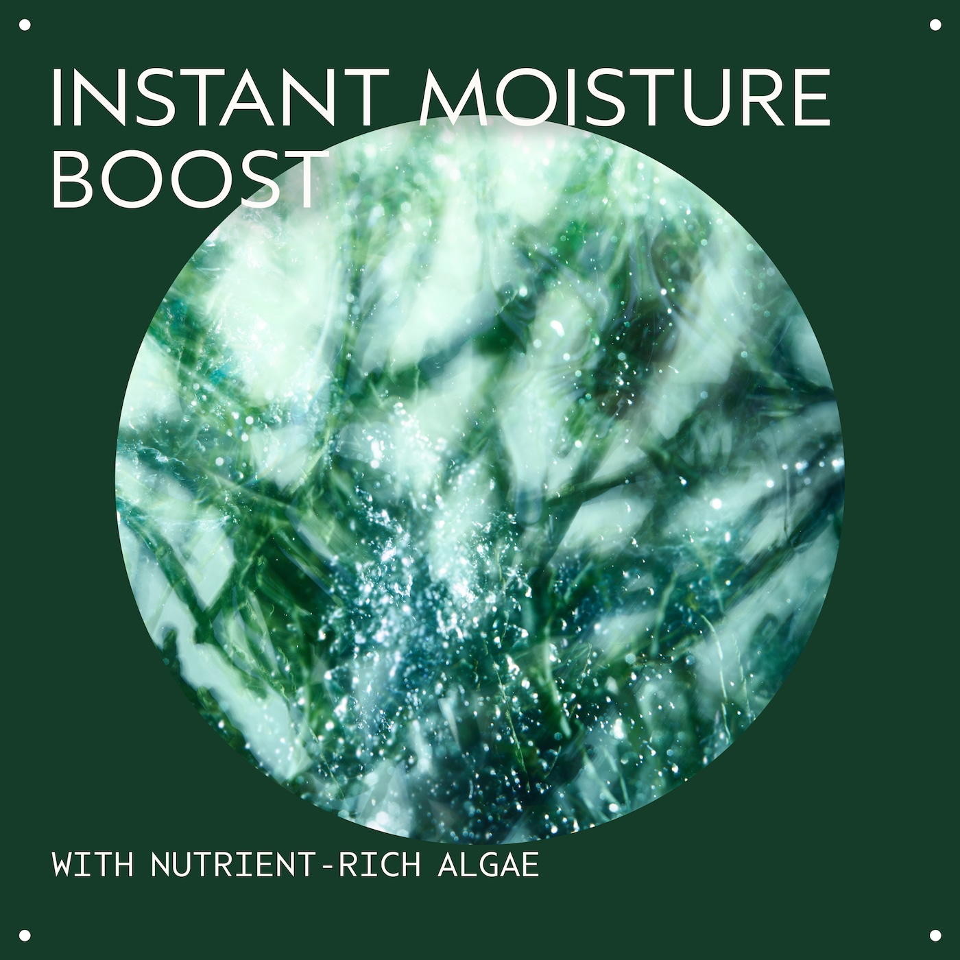Botanical Kinetics™ INTENSE HYDRATING ESSENCE LOTION