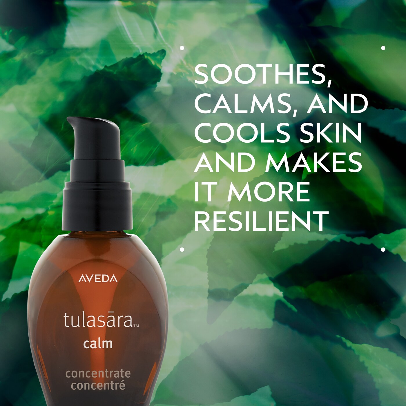tulasara™ calm concentrate treatment serum