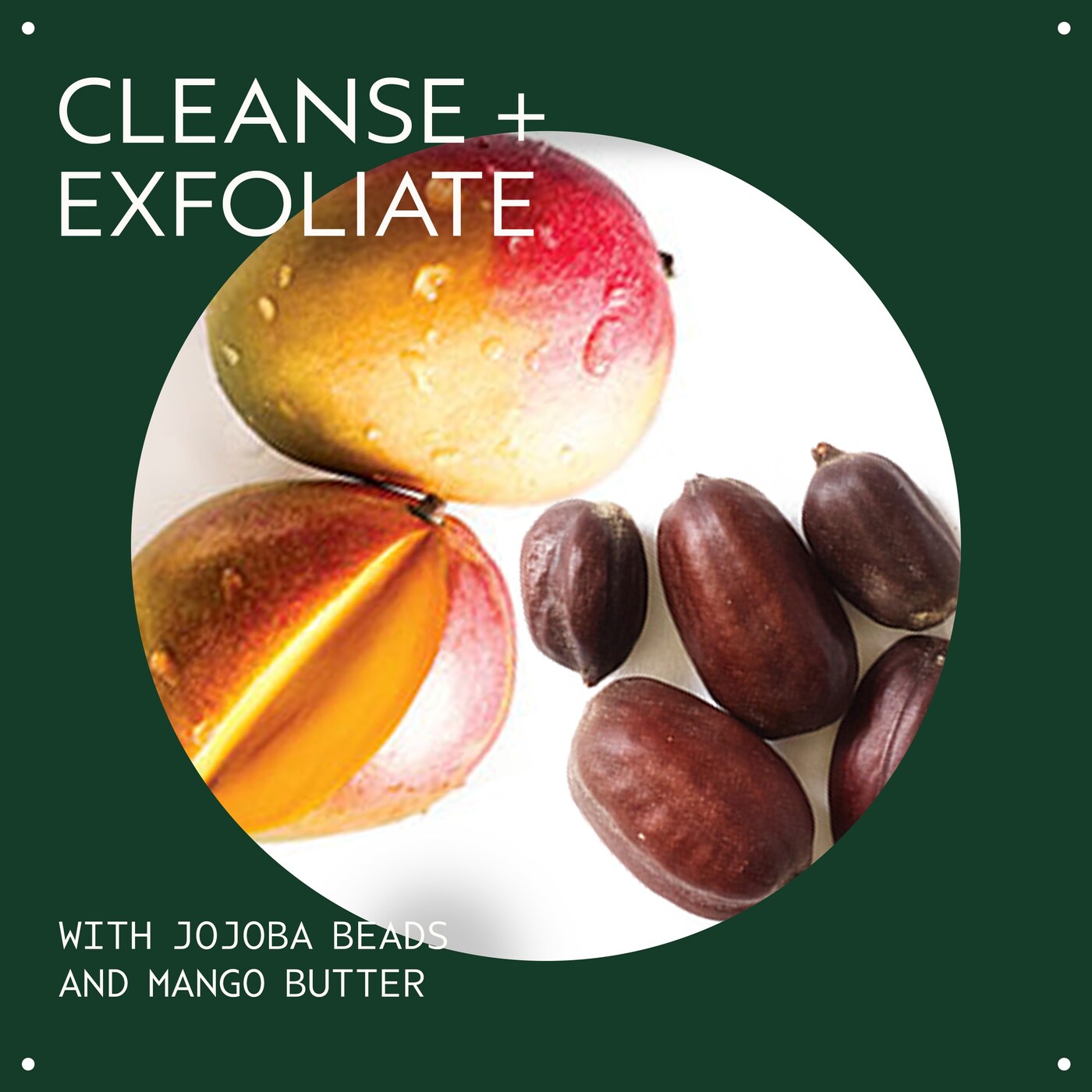 Botanical Kinetics™ Exfoliating Creme Cleanser