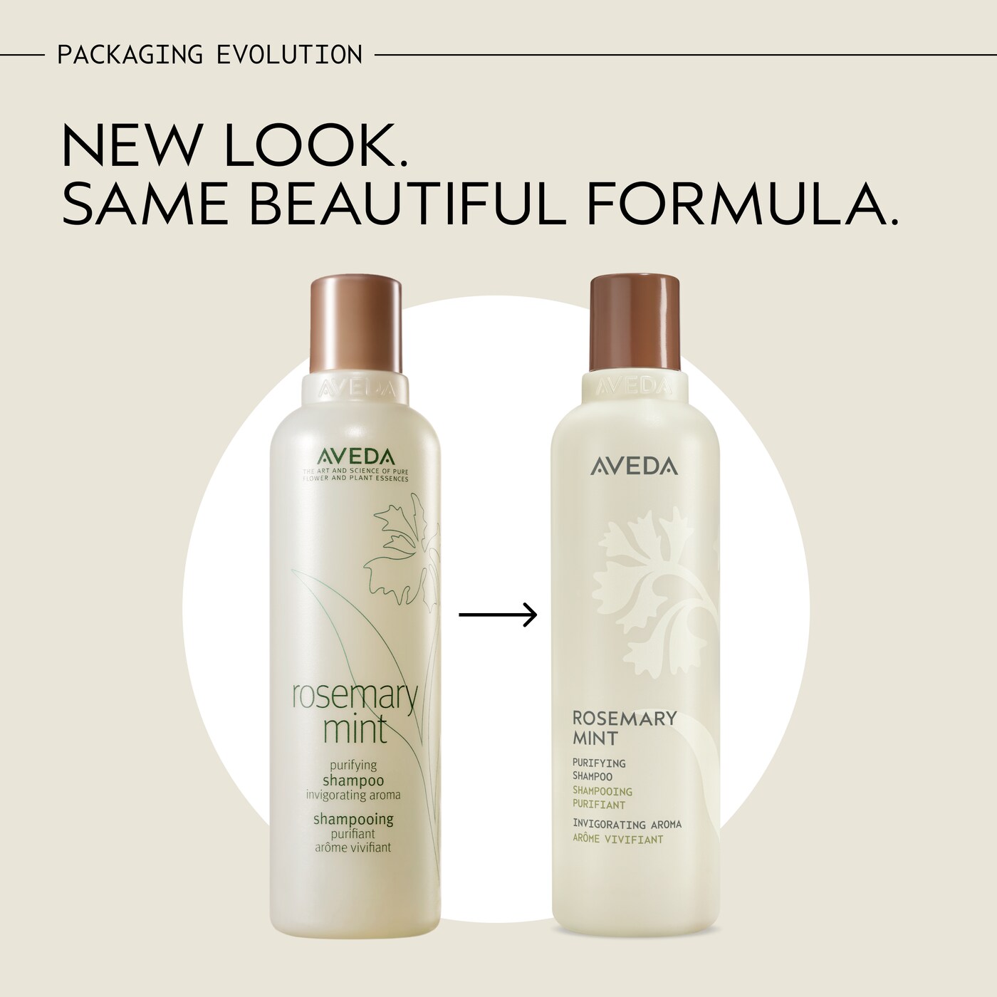 rosemary mint purifying shampoo