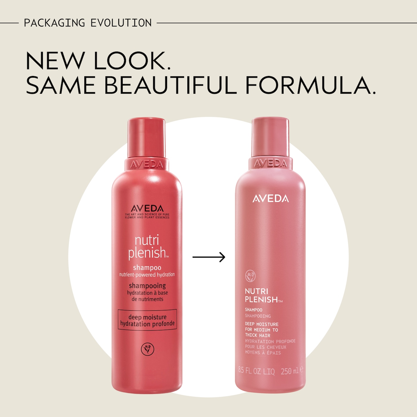 Nutriplenish™ Shampoo Deep Moisture, 8.5 fl oz/250 ml