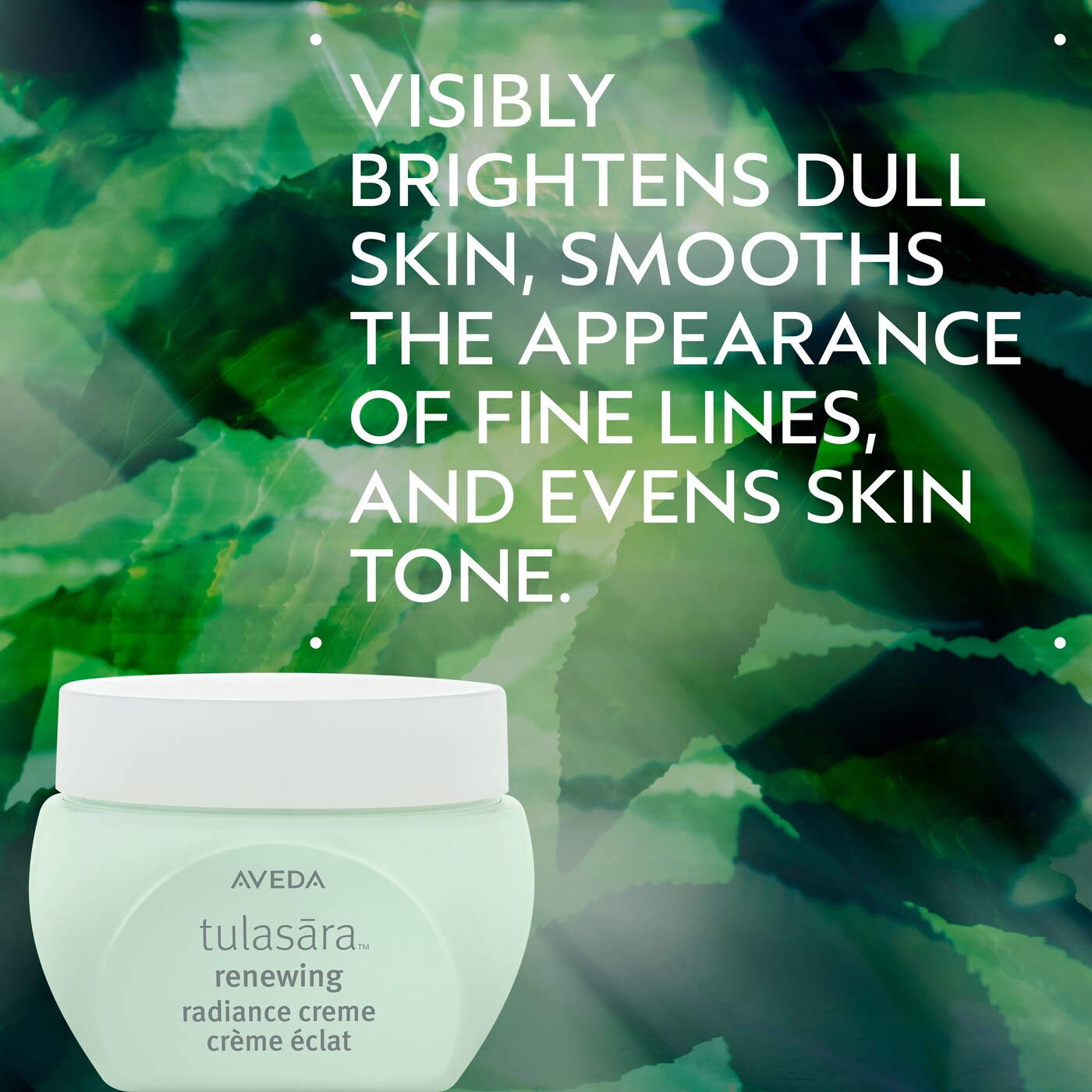 tulasara<span class="trade">&trade;</span> renewing radiance creme