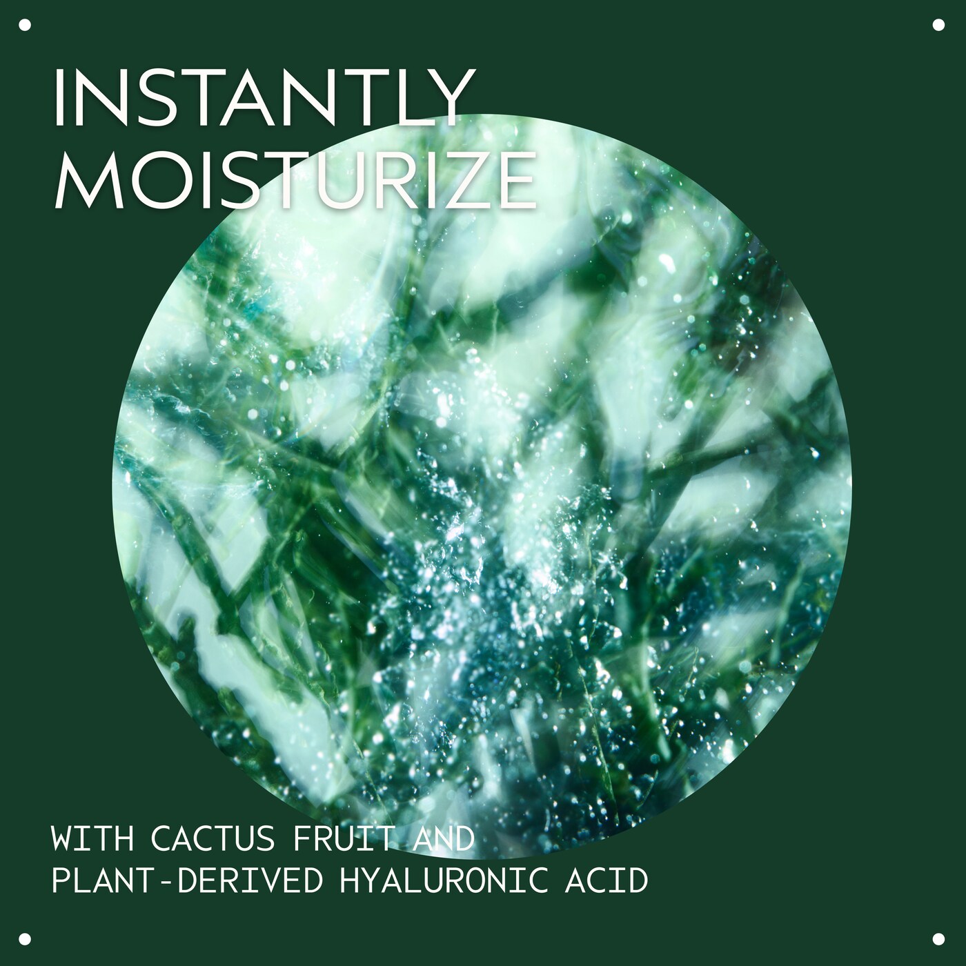 botanical kinetics™ intense hydrator face serum