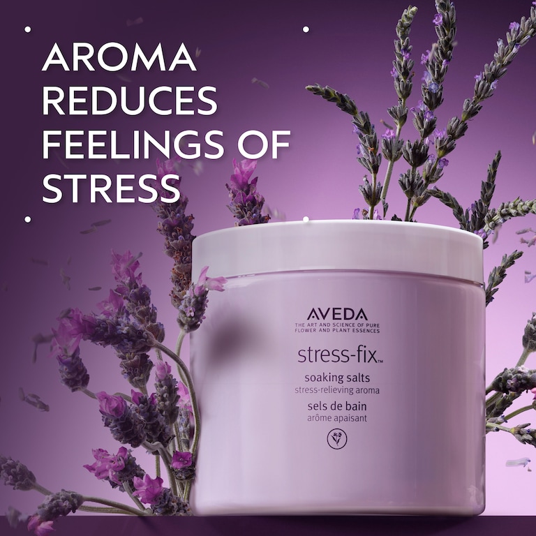 stress-fix™ soaking salts, 16 oz/454 g