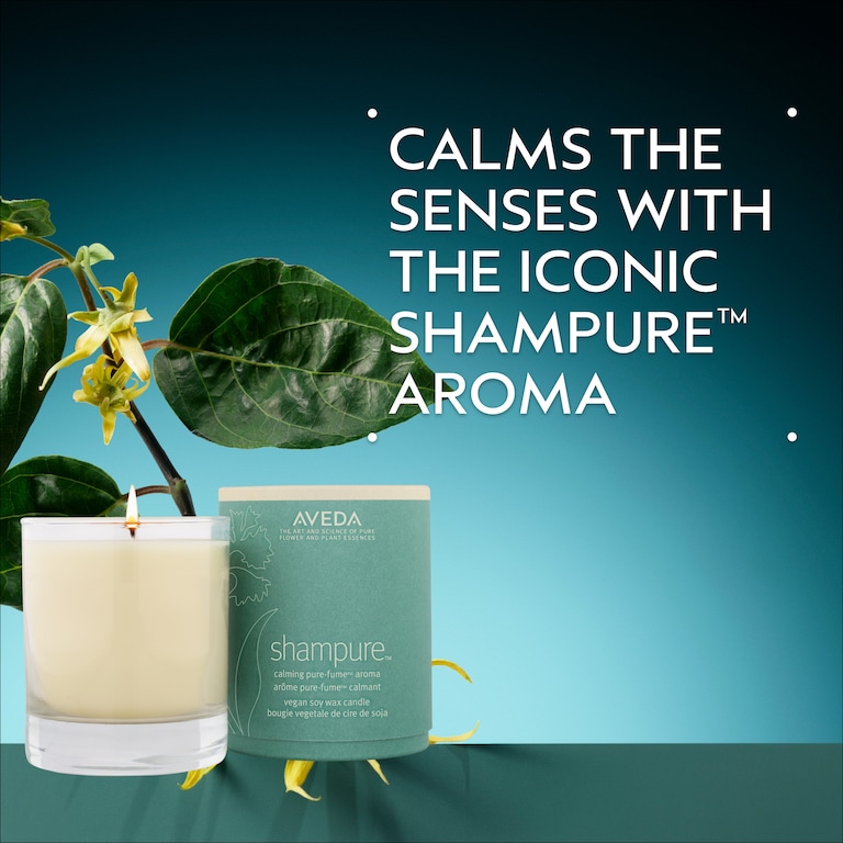 shampure™ vegan soy wax candle, 8.1 oz/230 g