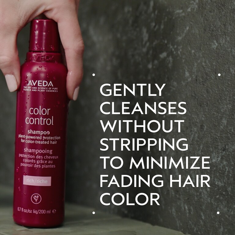 color control rich shampoo, 6.7 fl oz/200 ml