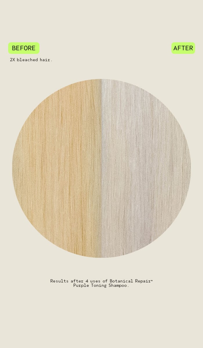 botanical repair<span class="trade">&trade;</span> purple toning shampoo