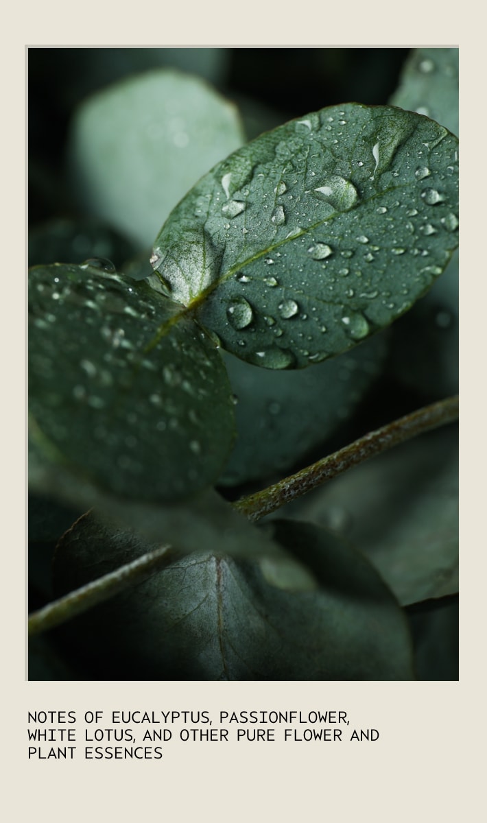 Ritual Bloom Pure-Fume™ Aroma Spray