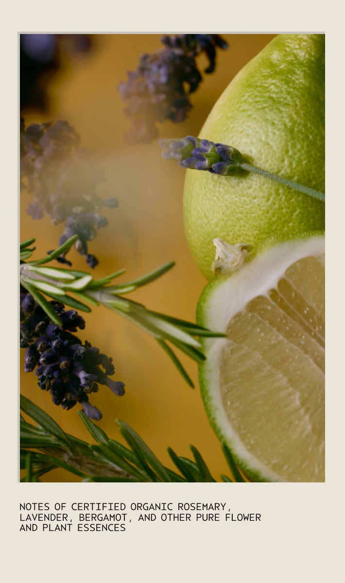 Beautifying Body Lotion