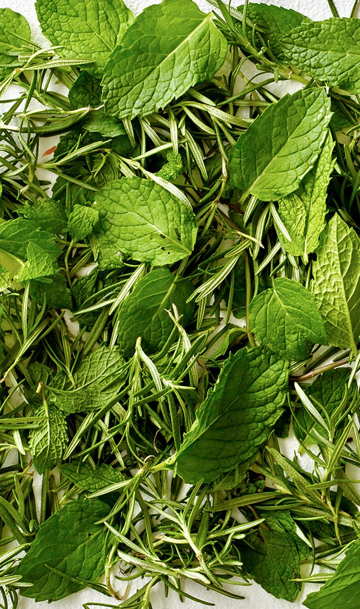 rosemary mint hand and body wash