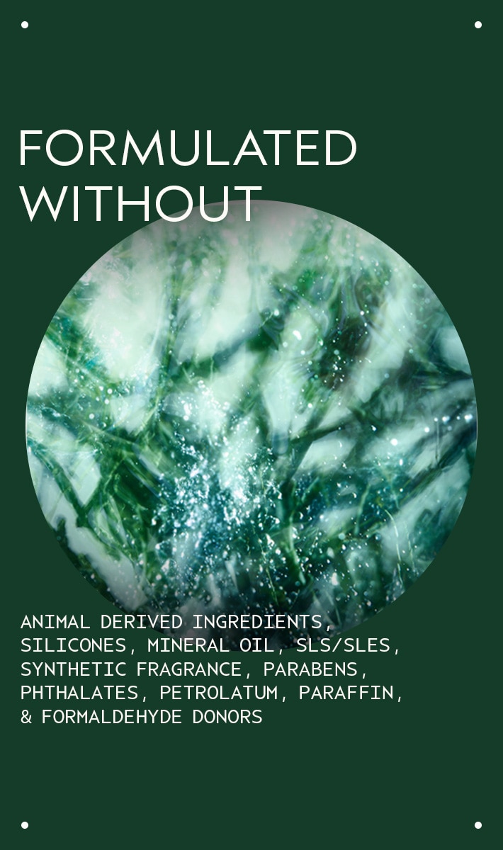botanical kinetics<span class="trade">&trade;</span> toning mist