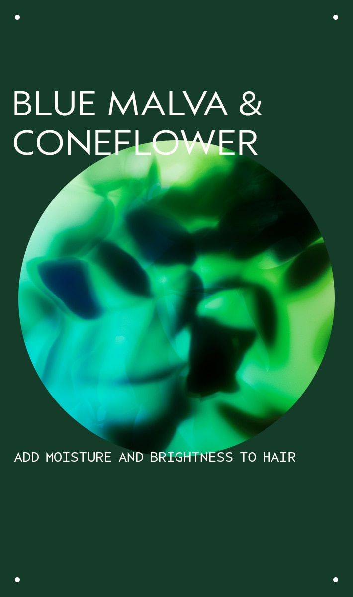 blue malva color conditioner